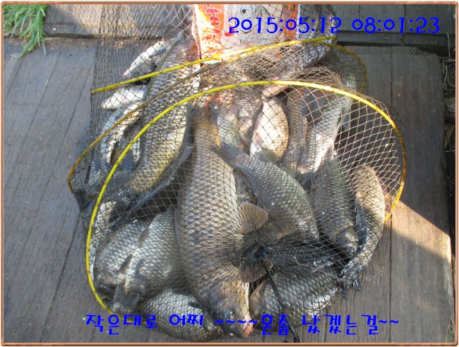 �ٹ̱�_IMG_1496.JPG