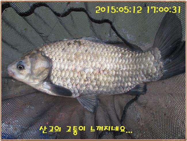 �ٹ̱�_IMG_1500.JPG
