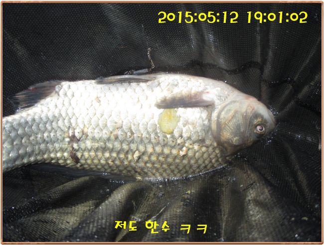 �ٹ̱�_IMG_1507.JPG