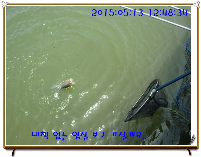 �ٹ̱�_IMG_1510.JPG