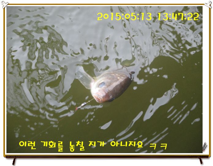 �ٹ̱�_IMG_1516.JPG