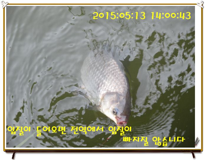 �ٹ̱�_IMG_1518.JPG