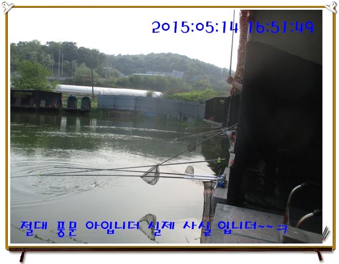 �ٹ̱�_IMG_1545.JPG