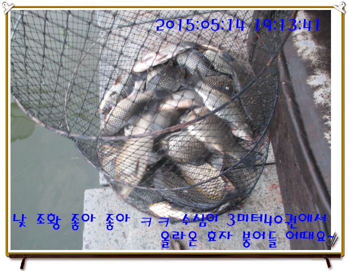 �ٹ̱�_IMG_1560.JPG