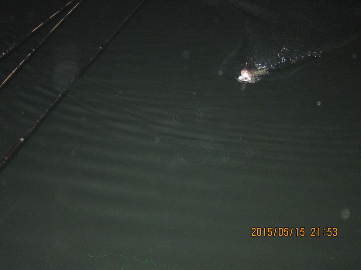 5��16�� 016.JPG