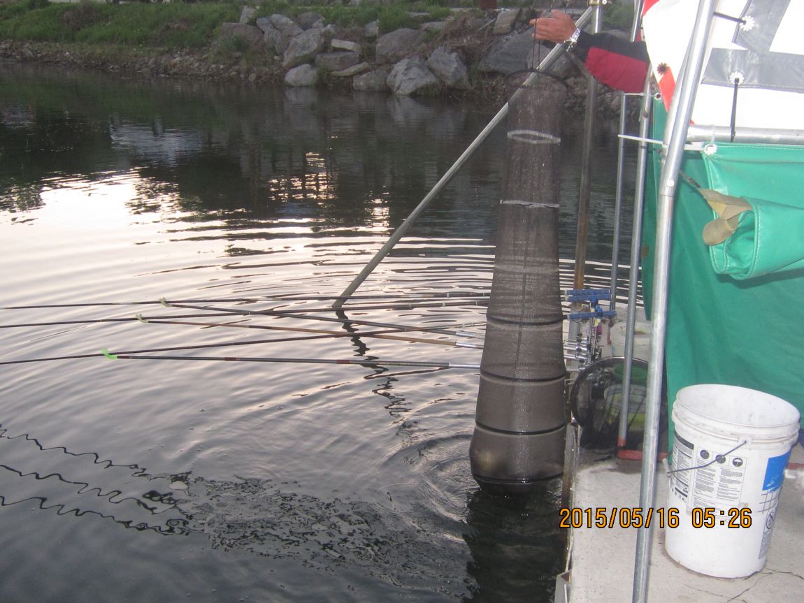 5��16�� 001.JPG