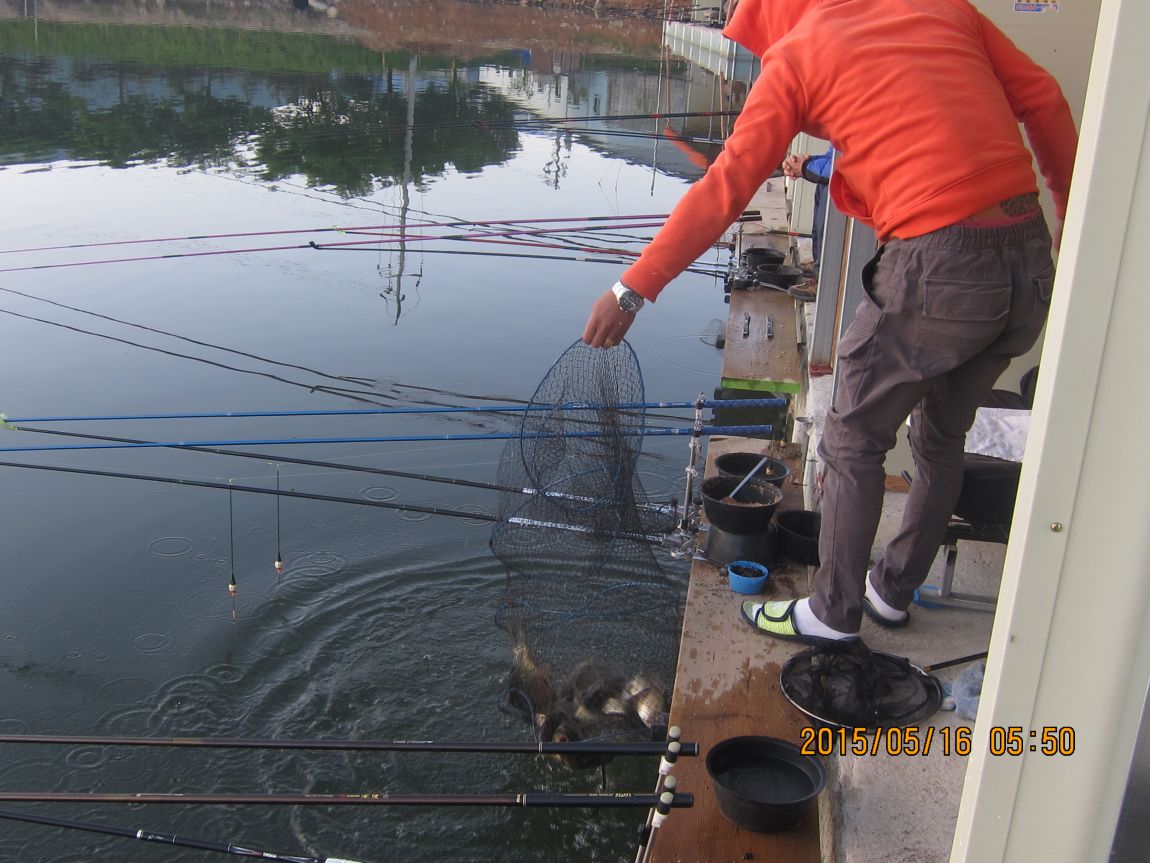 5��16�� 007.JPG