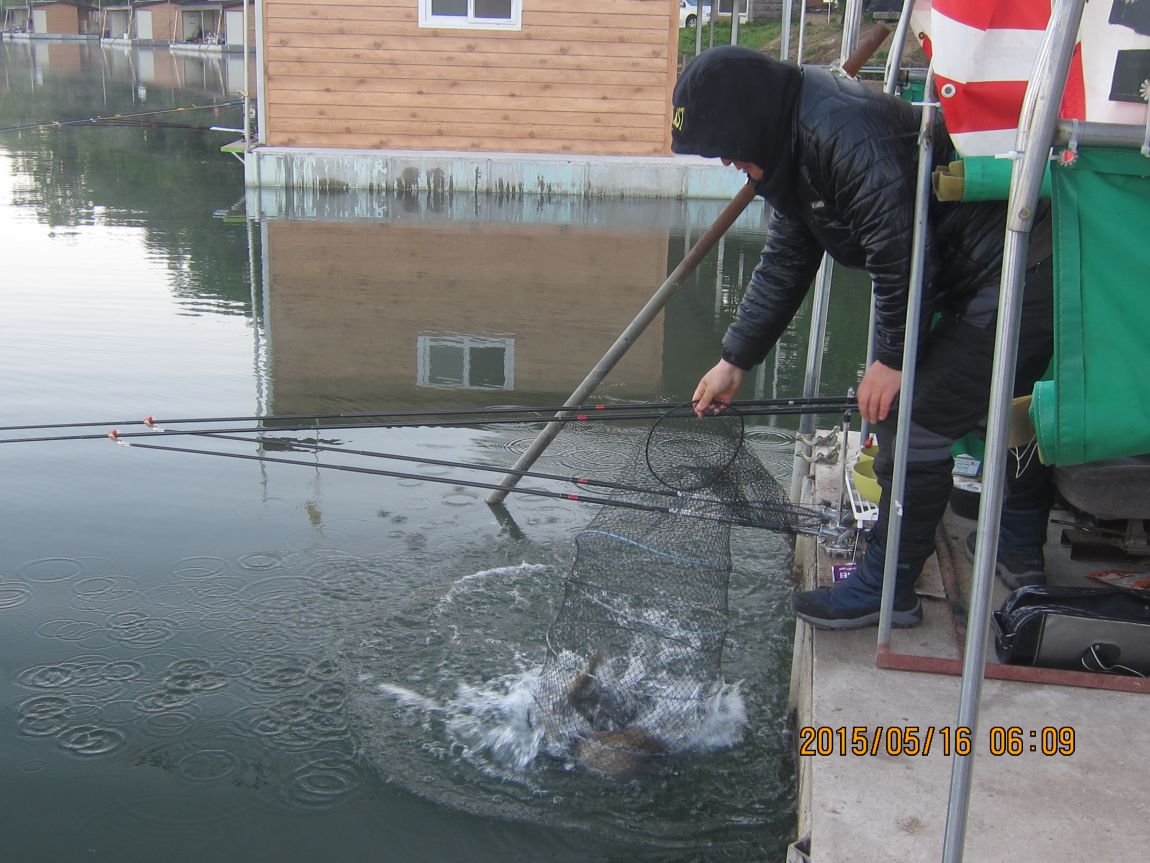 5��16�� 009.JPG