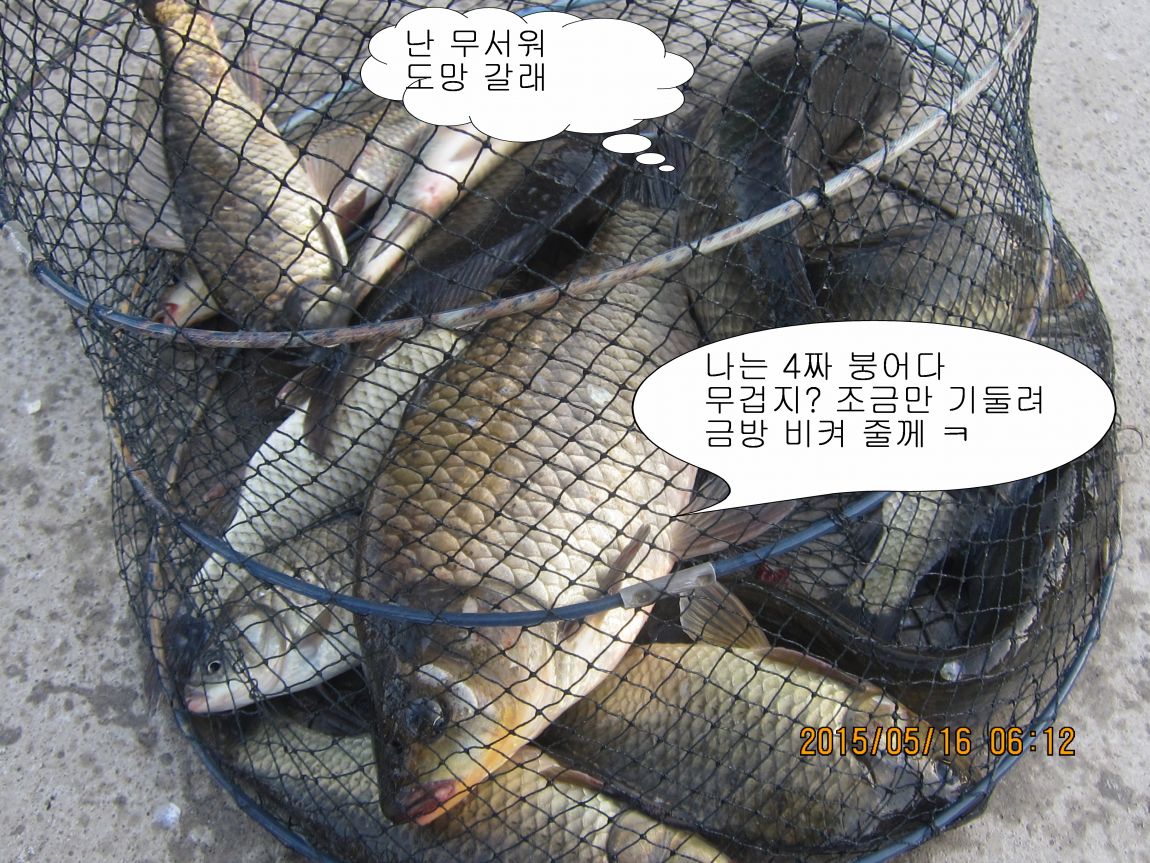 �ٹ̱�_5��16�� 010.JPG