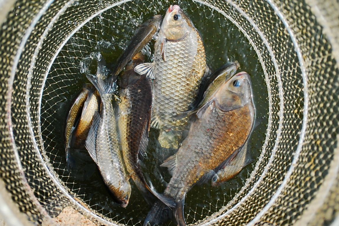 ٹ̱_DSC_0074.JPG