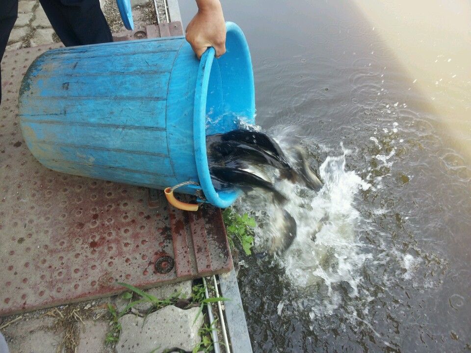 1431750236927.jpeg