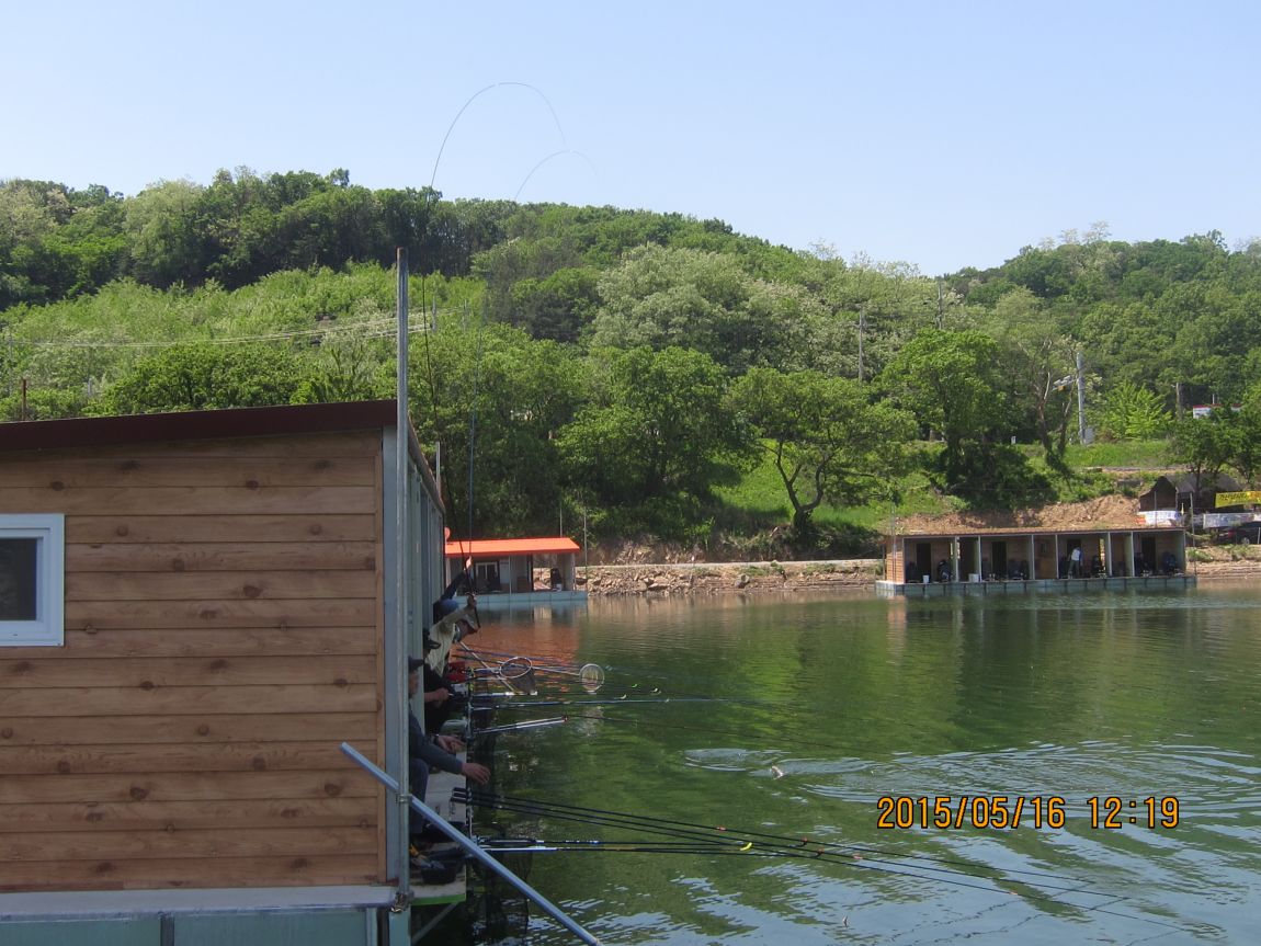 5��17�� 006.JPG