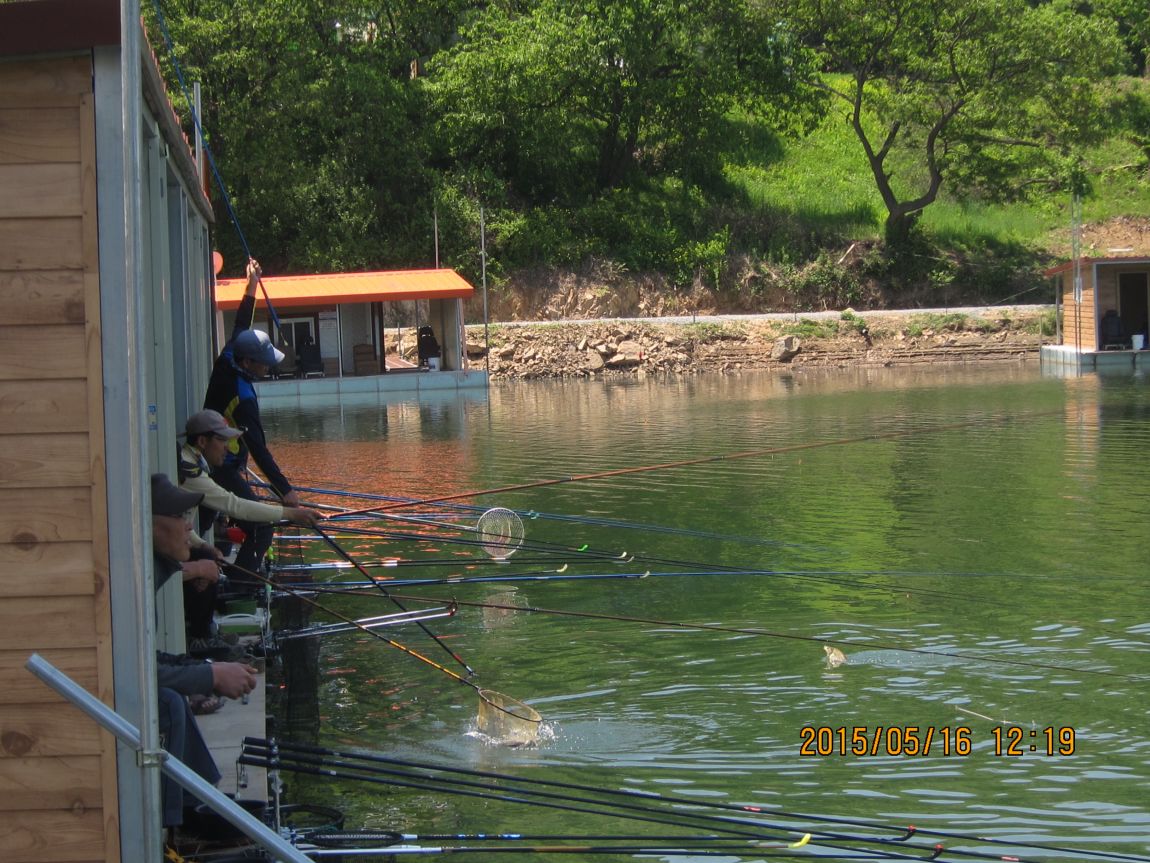 5��17�� 007.JPG