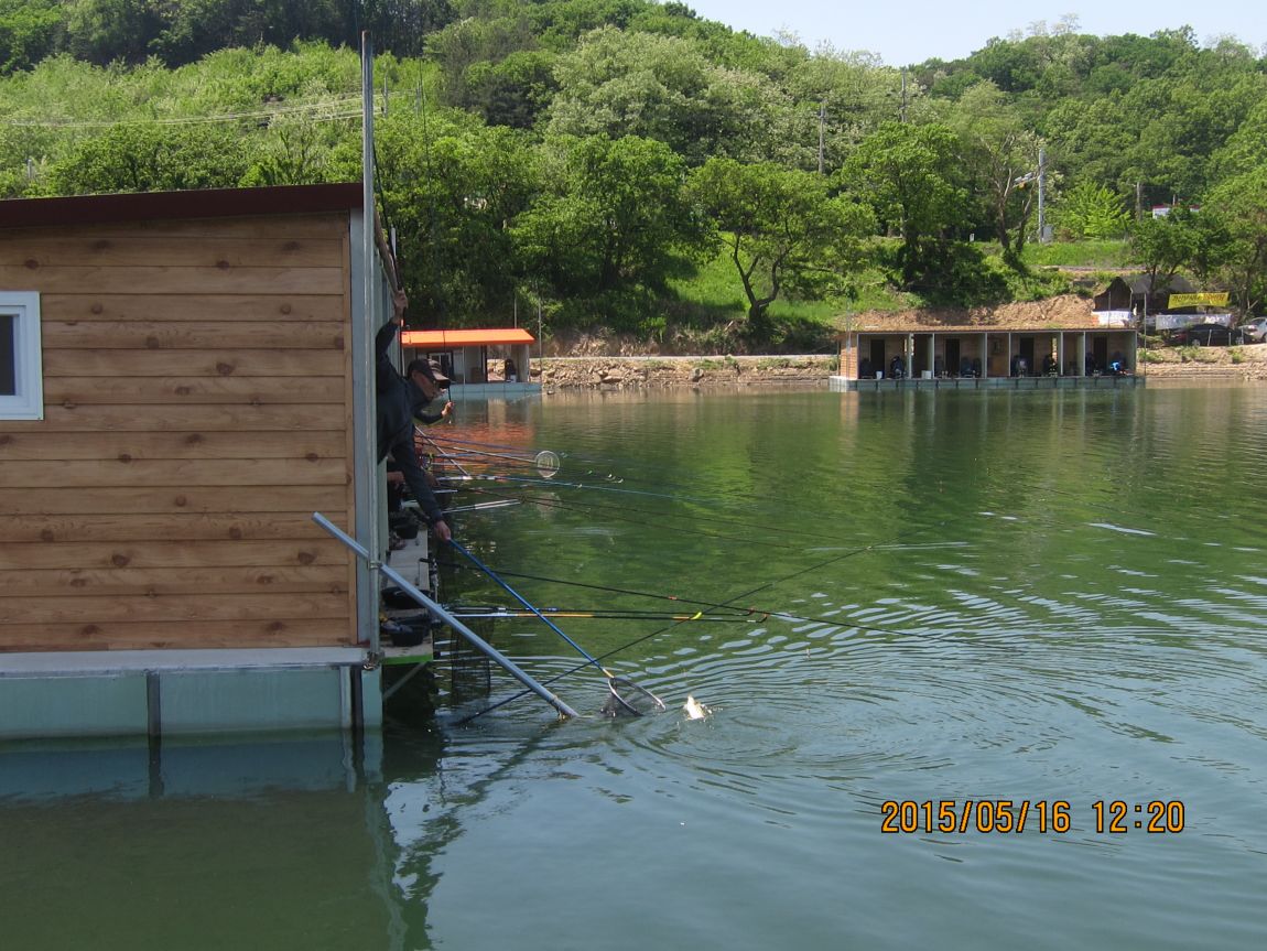 5��17�� 008.JPG