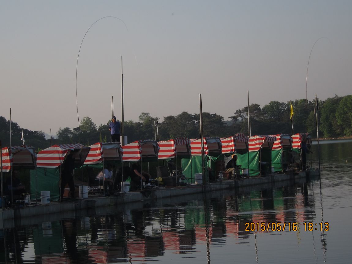 5��17�� 013.JPG