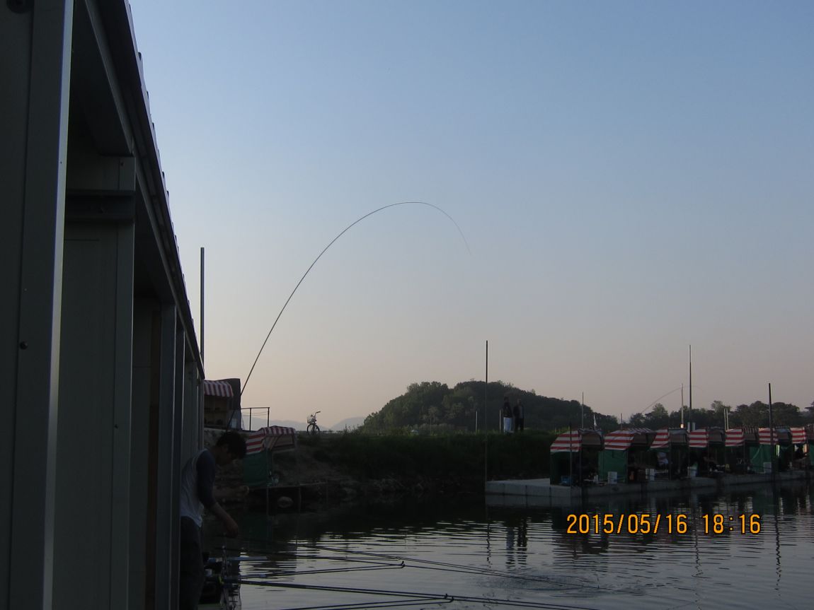 5��17�� 017.JPG