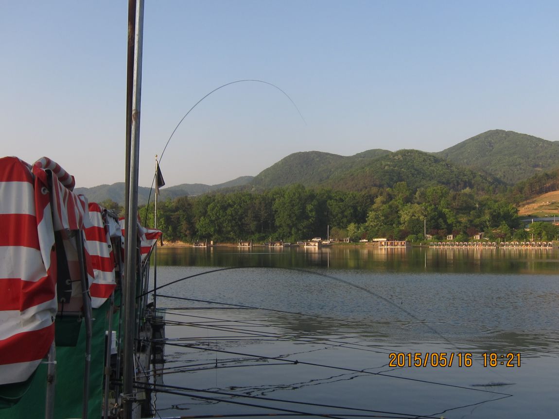 5��17�� 018.JPG