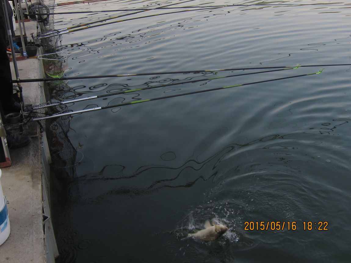 5��17�� 021.JPG