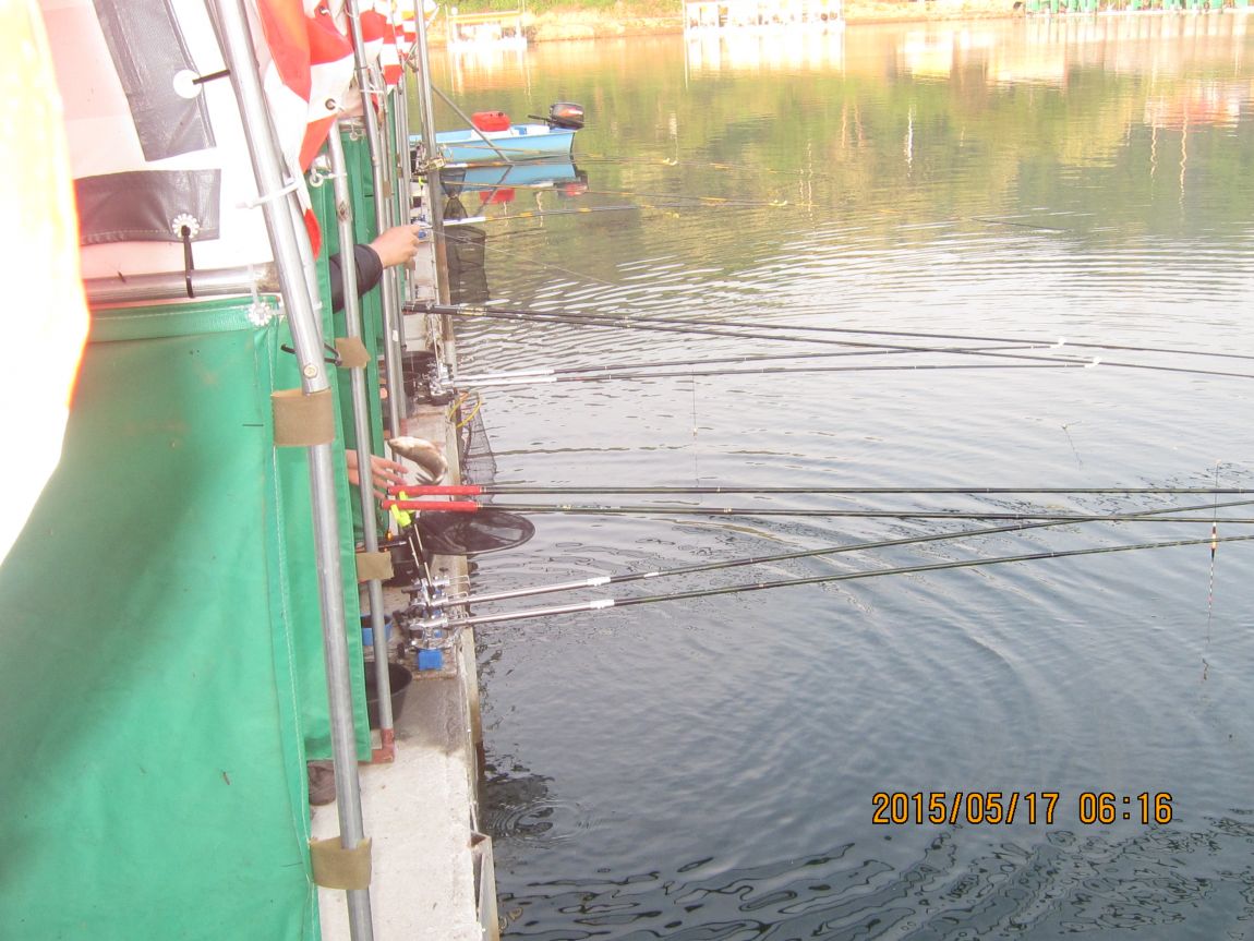 5��17�� 002.JPG