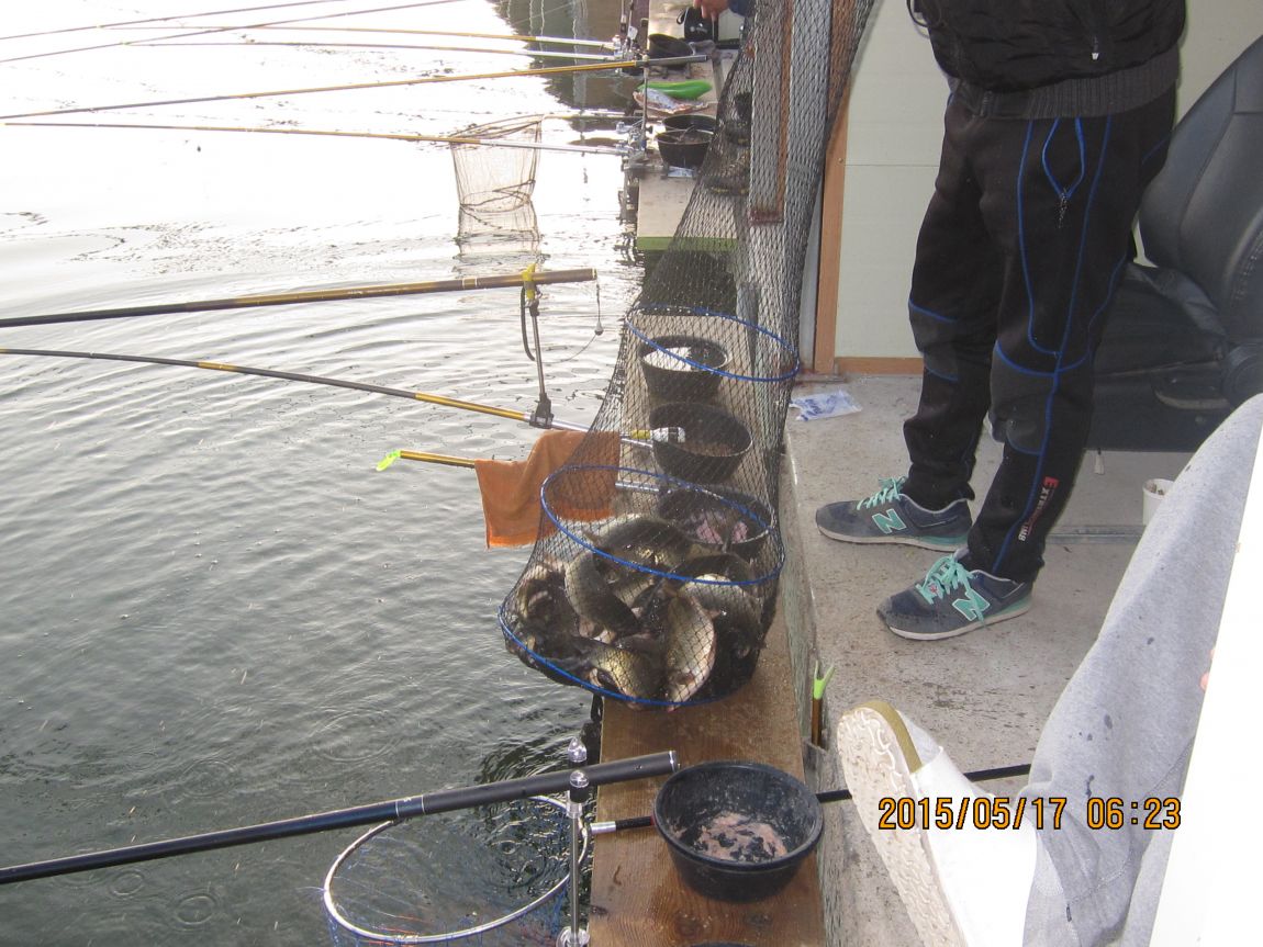 5��17�� 005.JPG