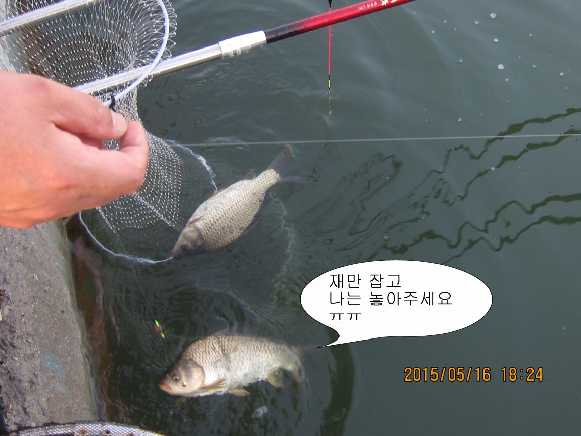 �ٹ̱�_5��17�� 024.JPG