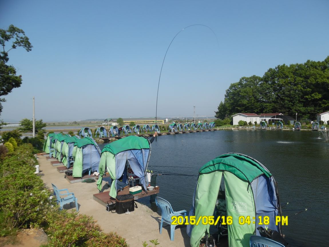 5��17�� 003.JPG