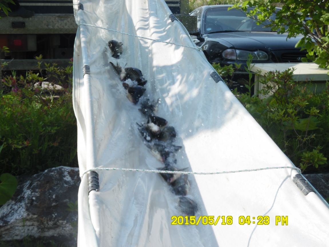 5��17�� 008.JPG