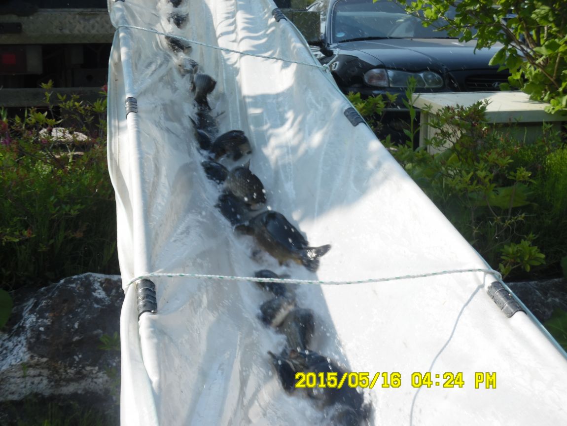 5��17�� 010.JPG