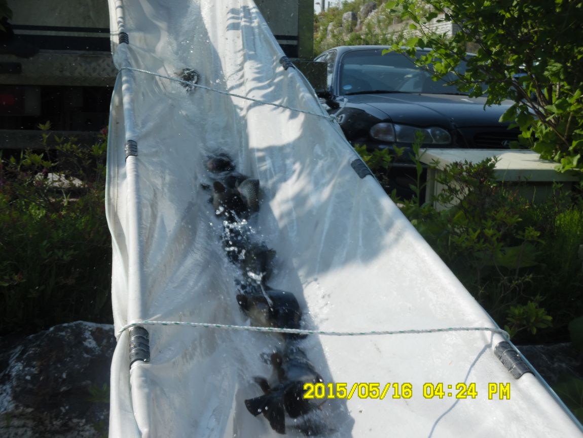 5��17�� 012.JPG