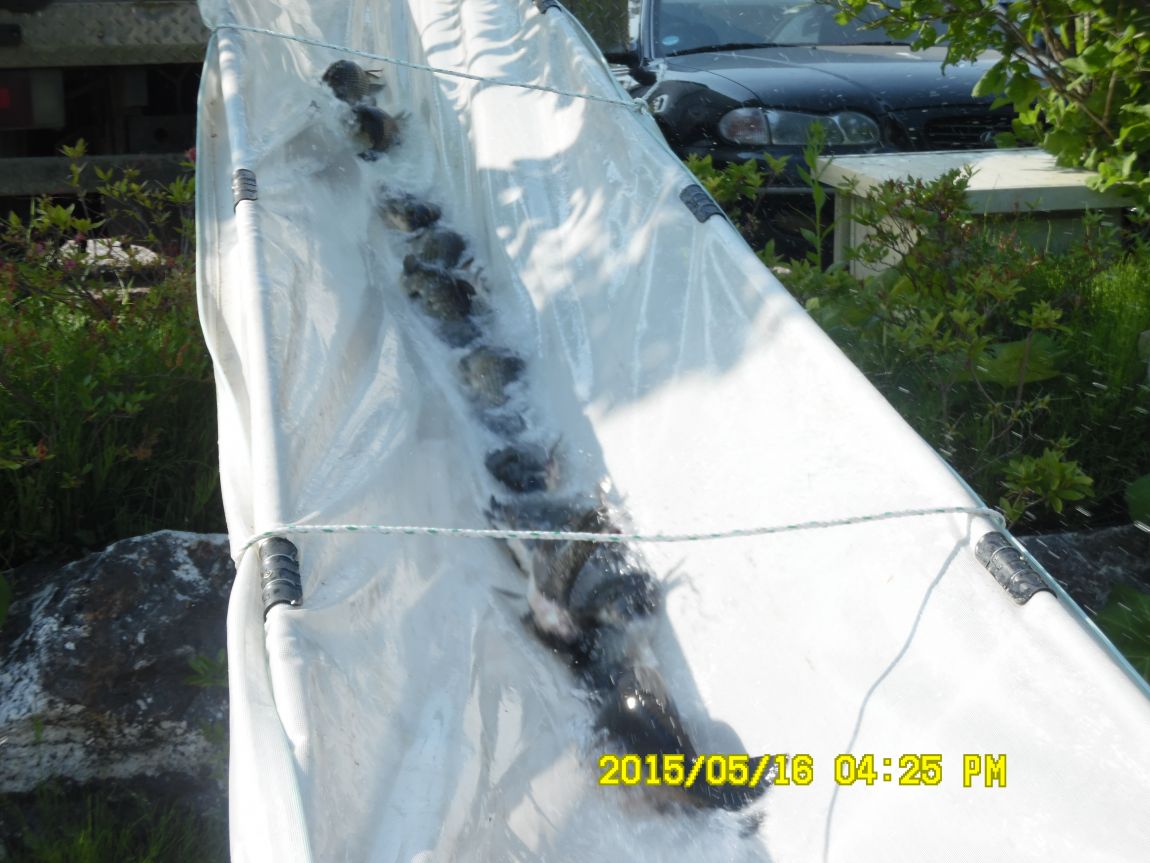 5��17�� 014.JPG