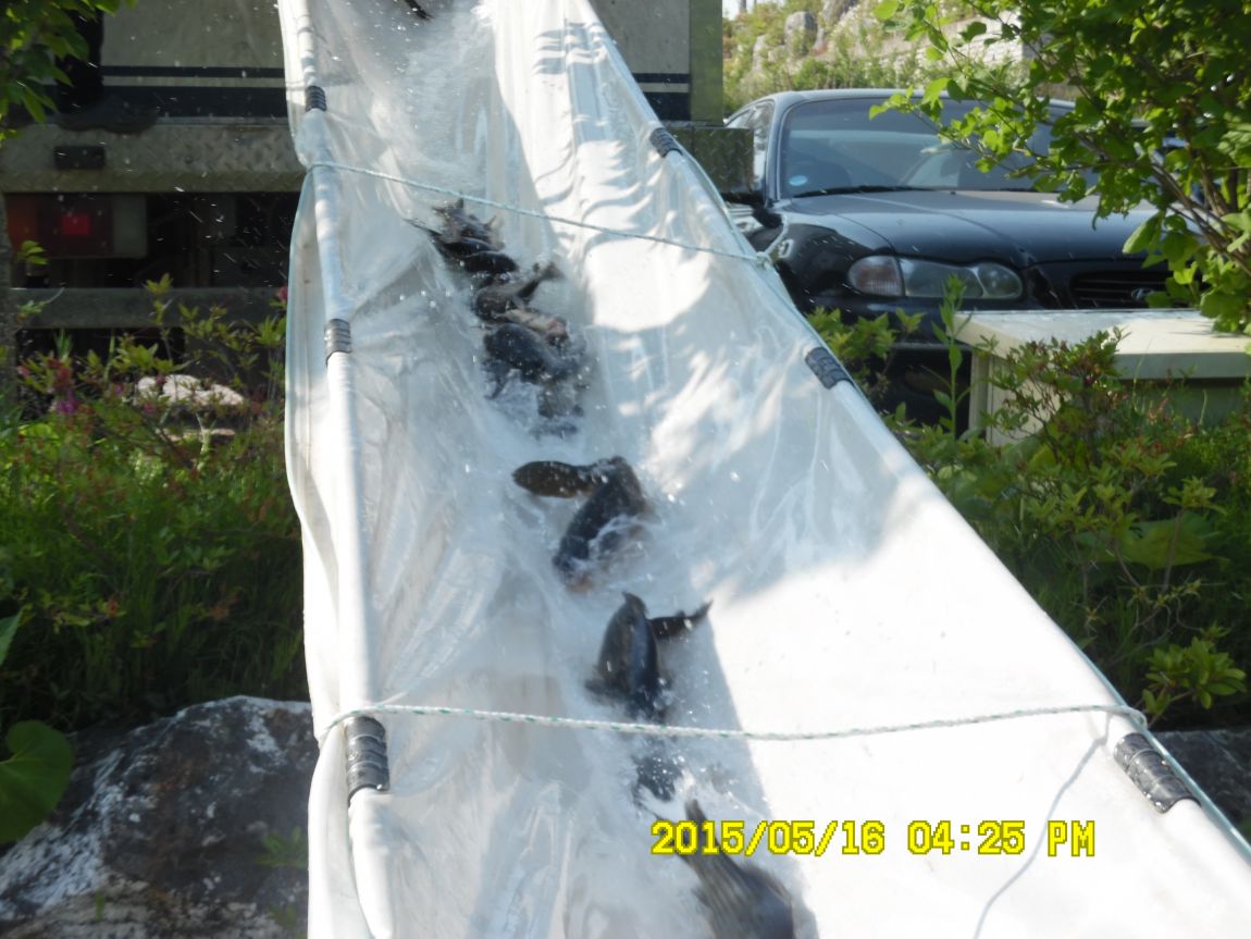 5��17�� 016.JPG