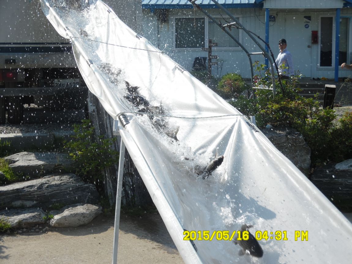 5��17�� 018.JPG