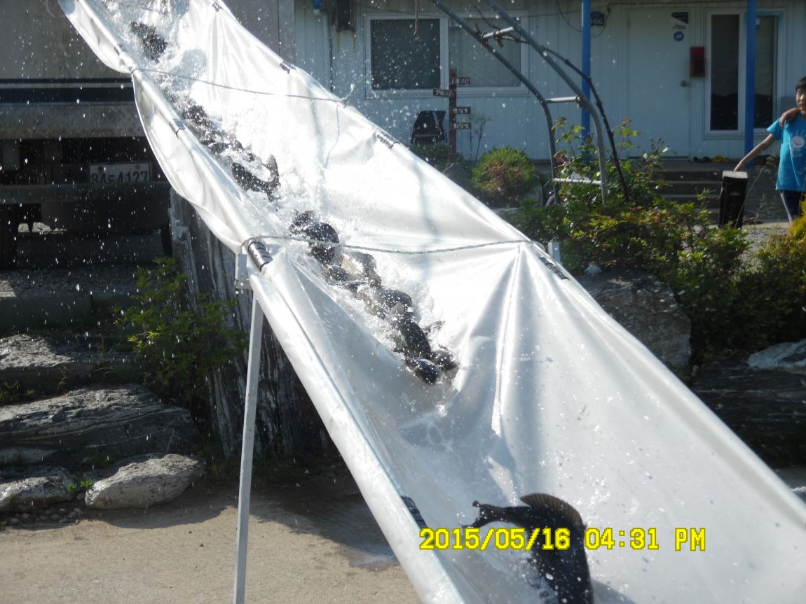 5��17�� 020.JPG