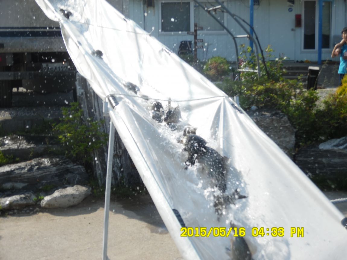 5��17�� 024.JPG