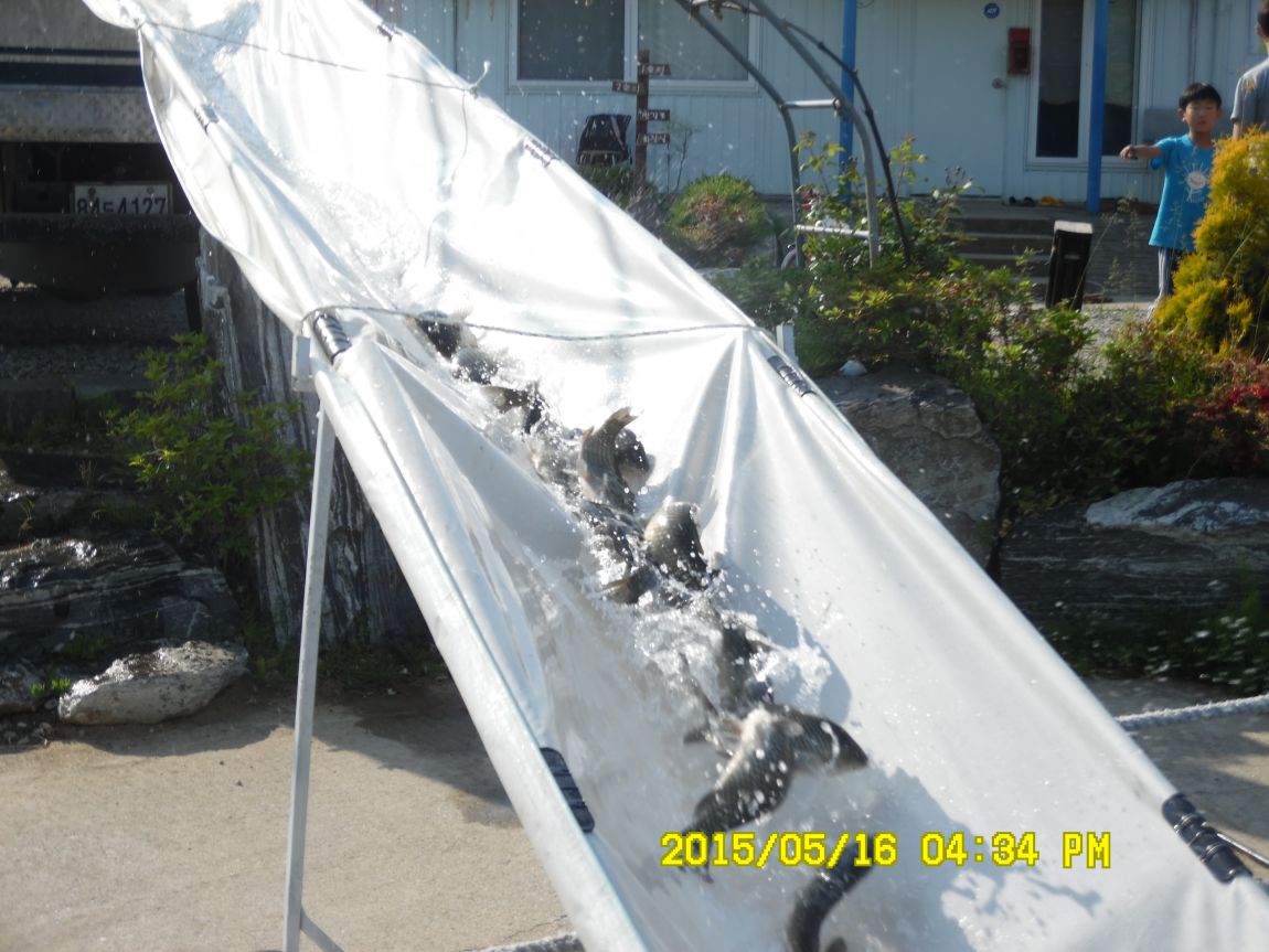 5��17�� 028.JPG