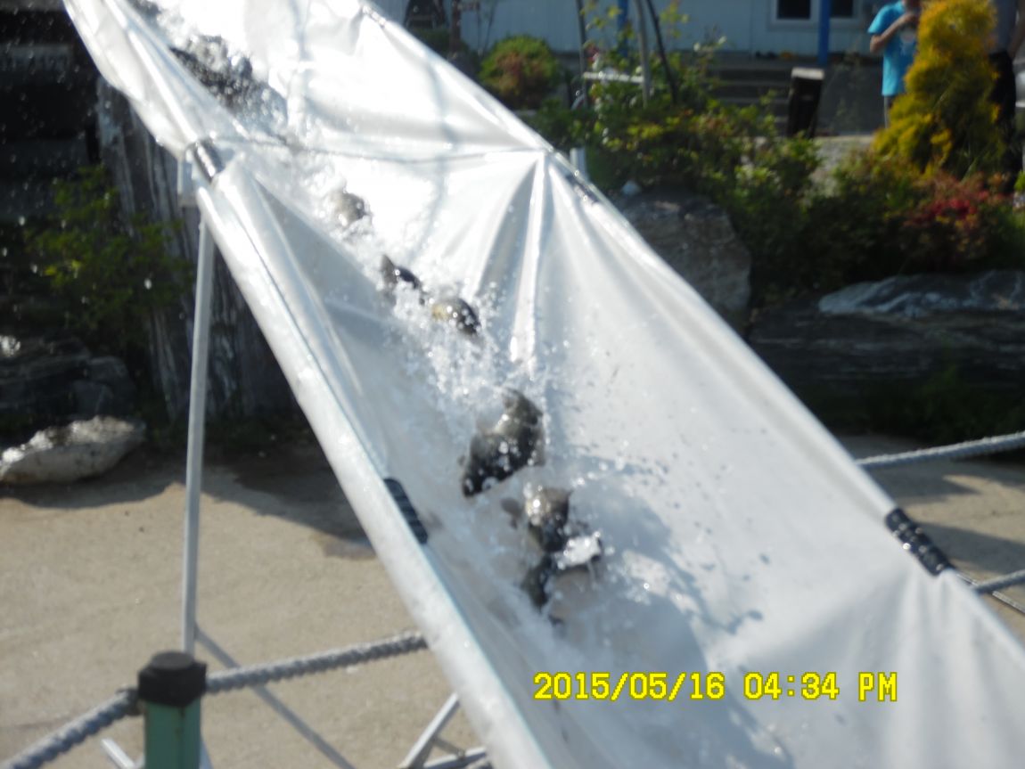 5��17�� 029.JPG