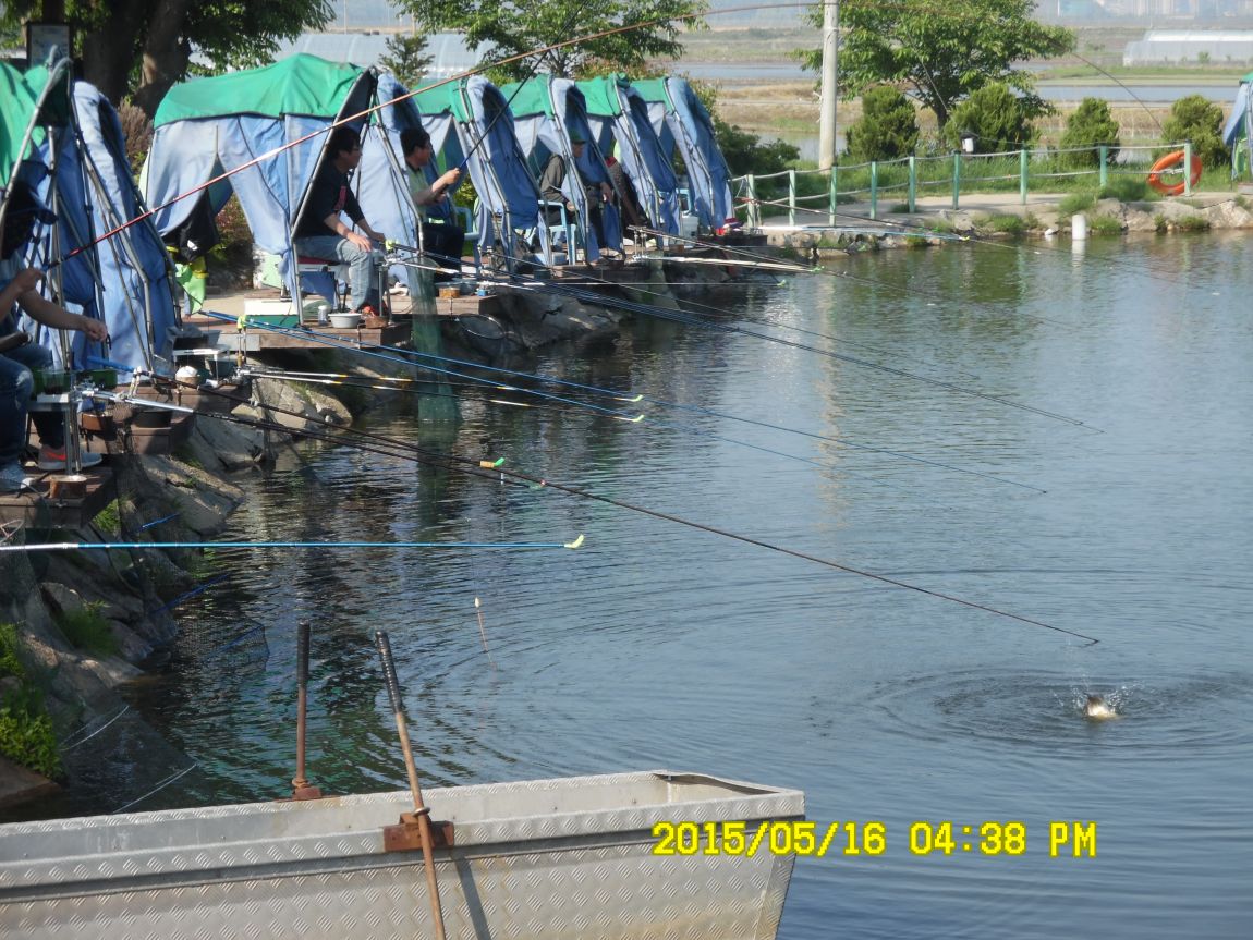 5��17�� 034.JPG