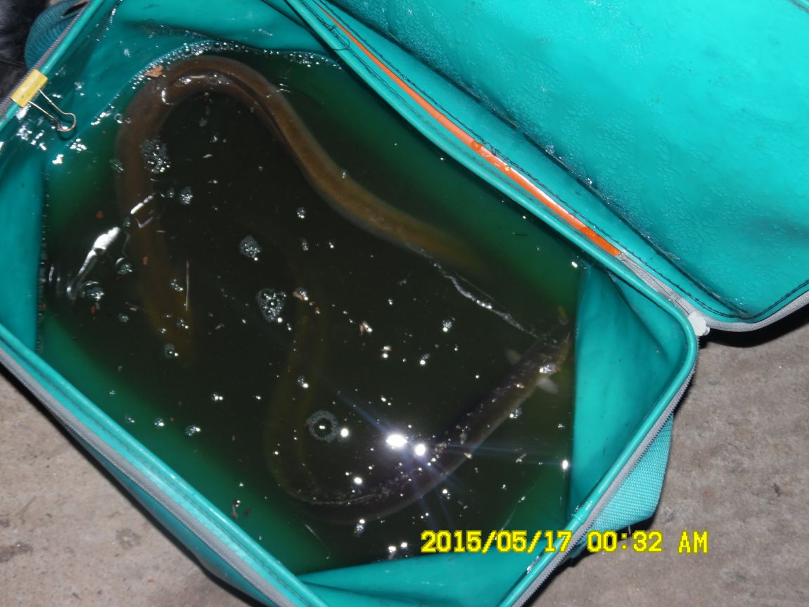 5��17�� 041.JPG