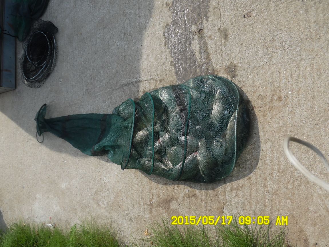 5��17�� 047.JPG