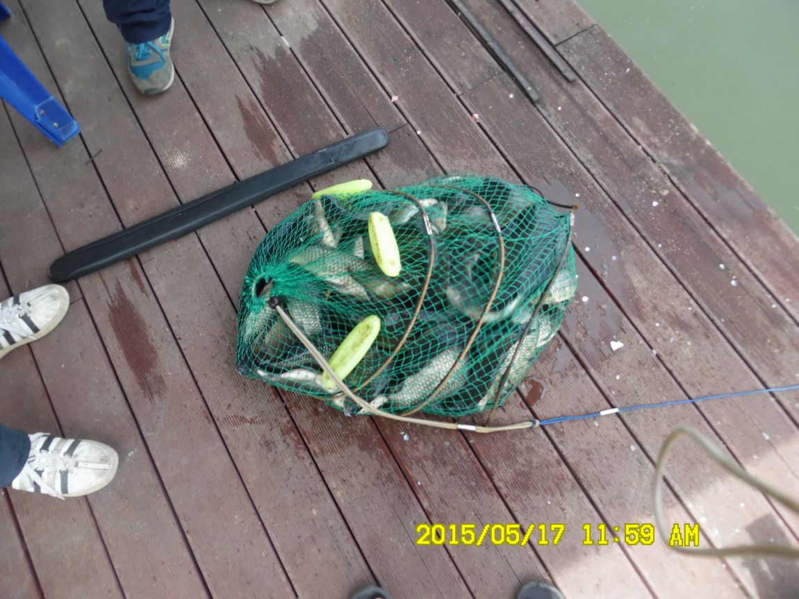 5��17�� 050.JPG