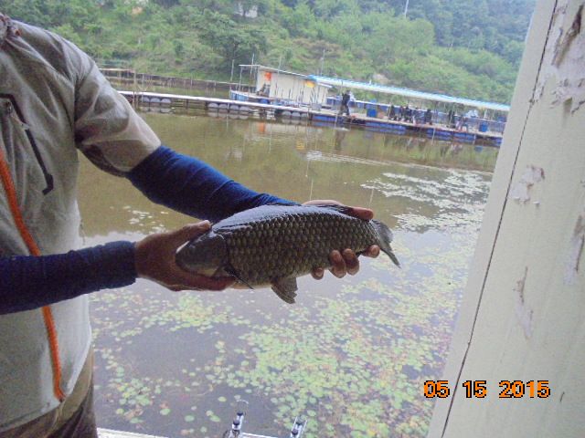 DSC01722.JPG