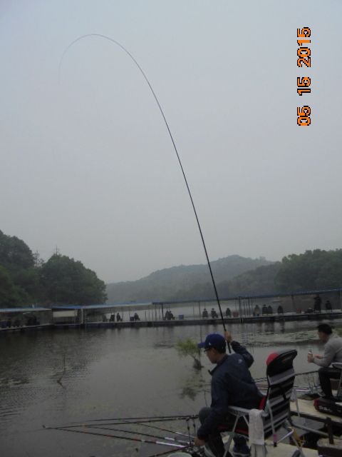 DSC01719.JPG