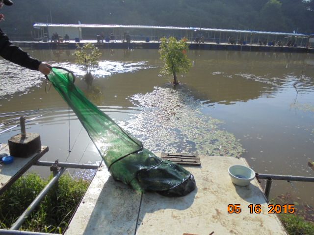 DSC01734.JPG