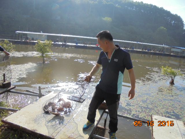 DSC01733.JPG