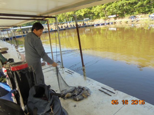 DSC01739.JPG