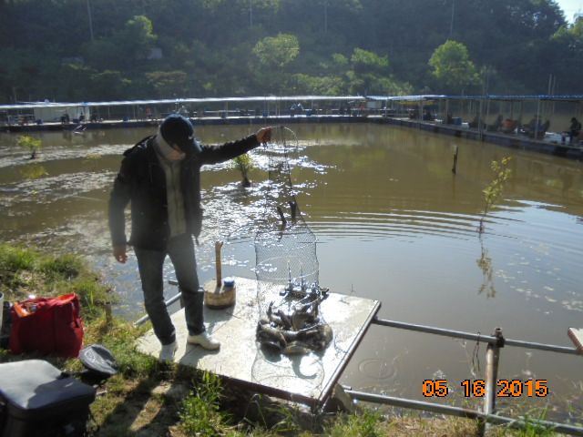 DSC01736.JPG