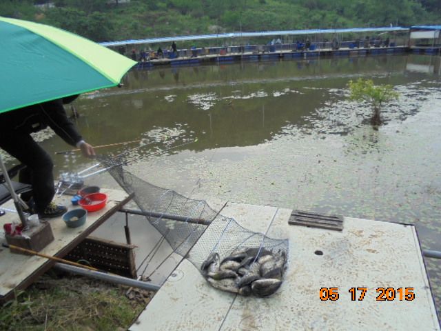 DSC01757.JPG