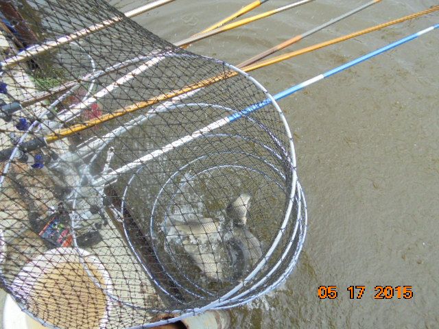 DSC01764.JPG