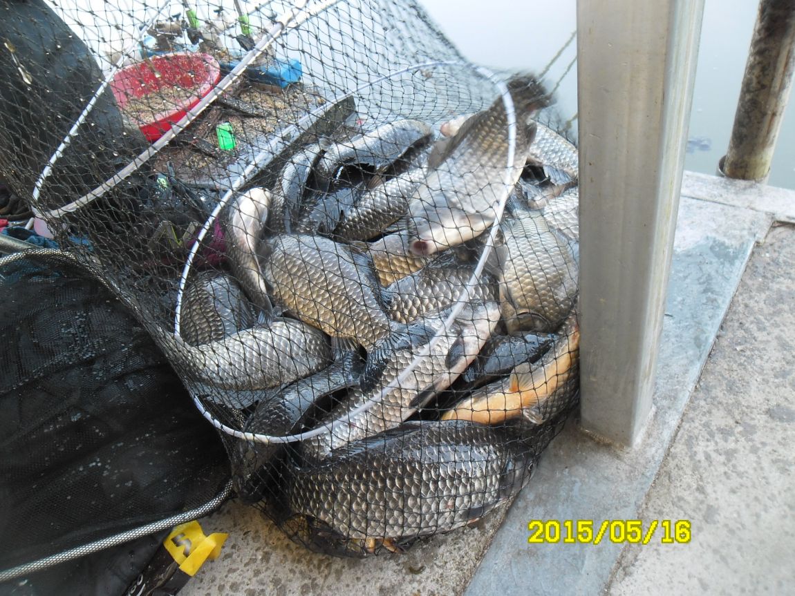 SAM_6528.JPG