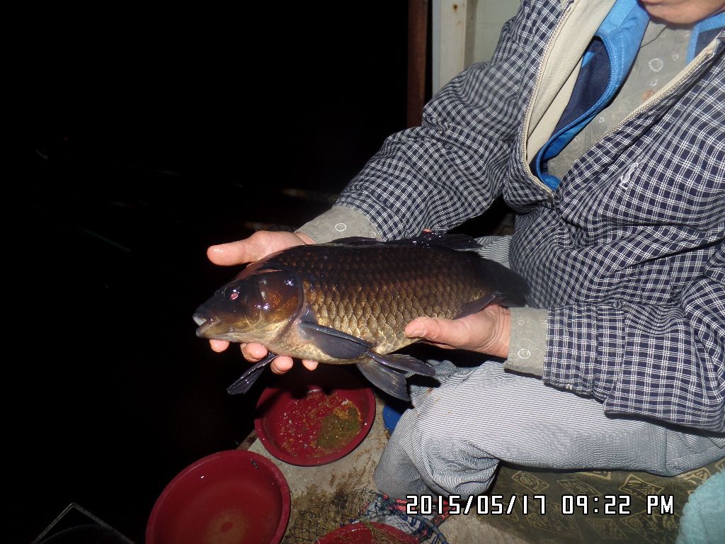 SAM_6302.JPG